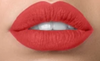 Wilou shinning matte lipstick