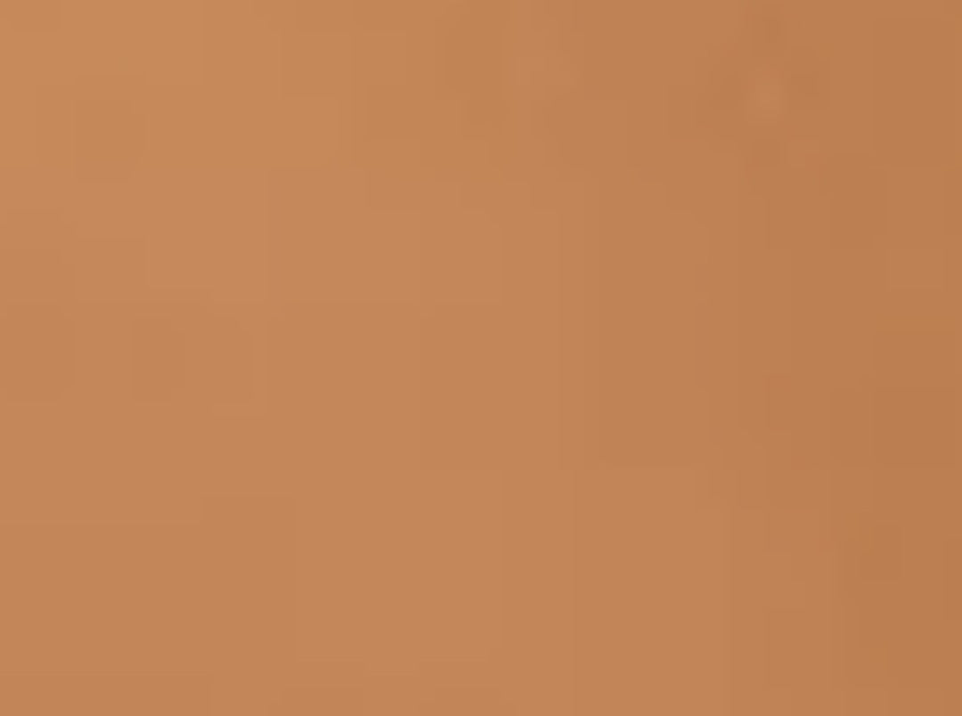 Wilou Shinning pressed Face Powder